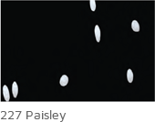 227 Paisley Color Swatch