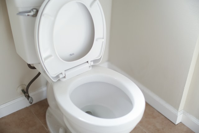 round-toilet-bowl